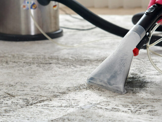 Pet Stains and Smells: Effective Carpet Cleaning Solutions for Homes
